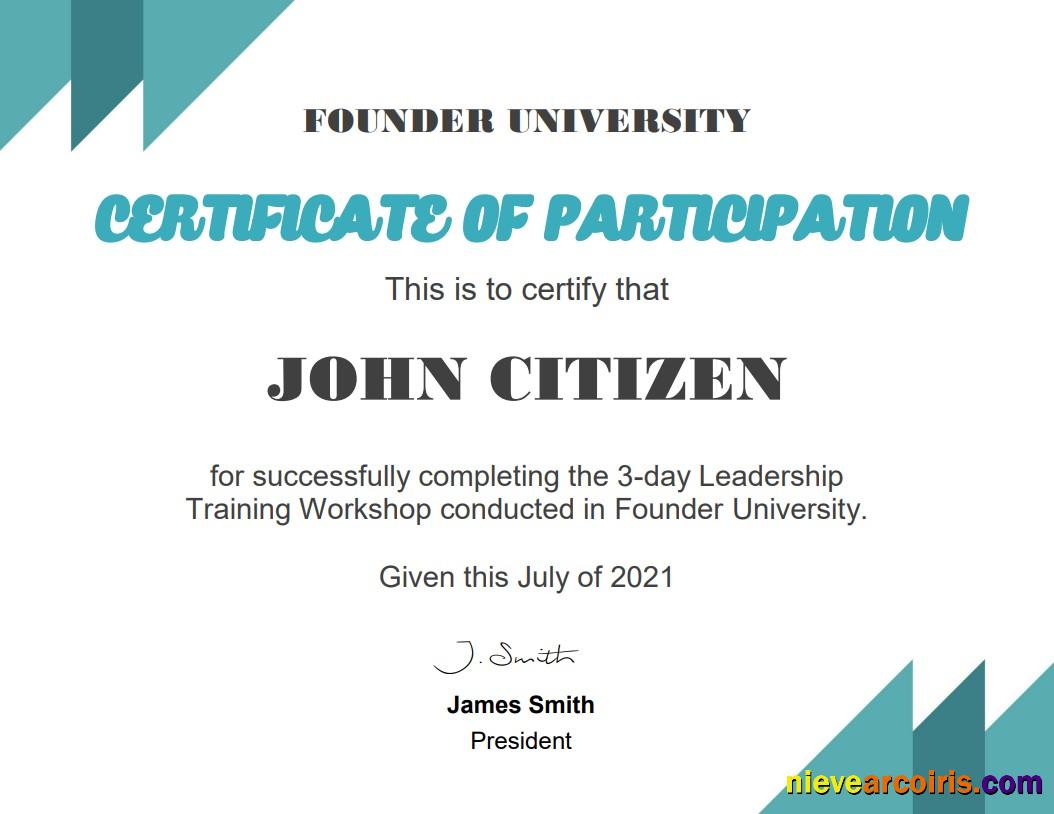 USA Business School certificate